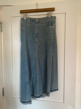 vintage citizens of humanity denim skirt